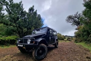 Madeira : SkyWalk, Fanal, Natural Pools 4x4 Jeep Tour