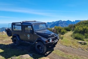 Madeira : SkyWalk, Fanal, Natural Pools 4x4 Jeep Tour