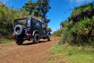 Madeira : SkyWalk, Fanal, Natural Pools 4x4 Jeep Tour