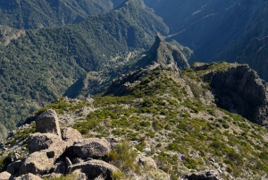 Madeira: Liten gruppe tur østover (Pico Arieiro, Santana)