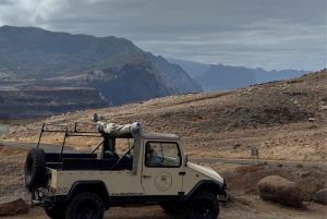 Madeira: Liten gruppe tur østover (Pico Arieiro, Santana)