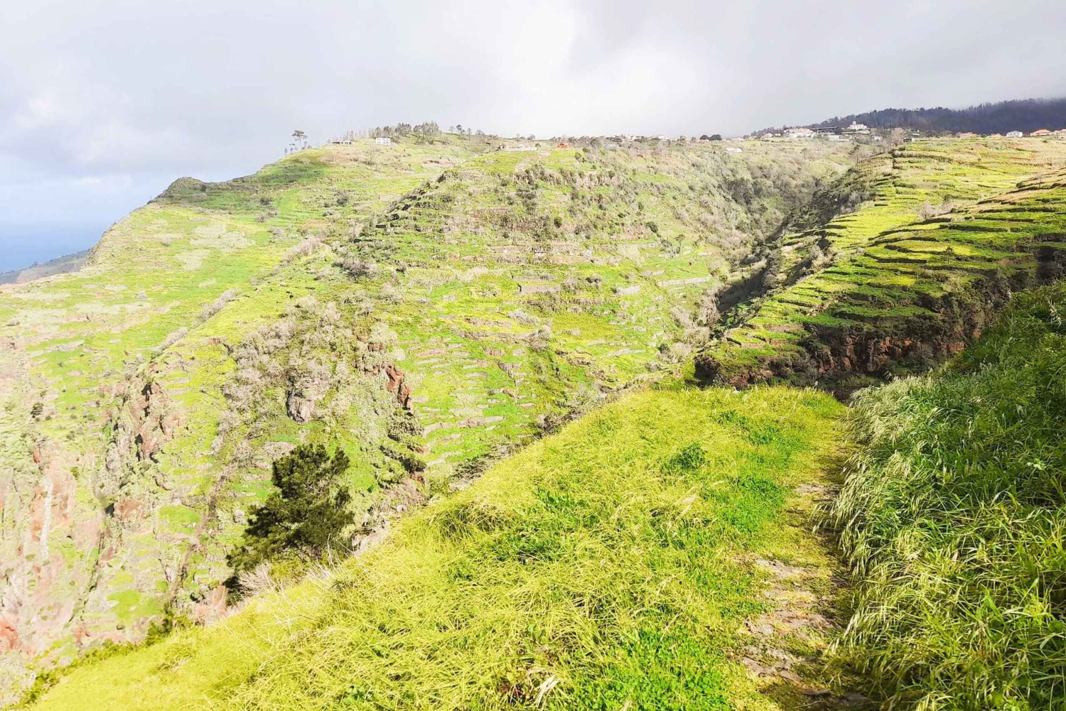 Madeira: Sør-Madeira: Privat 4x4-tur med henting