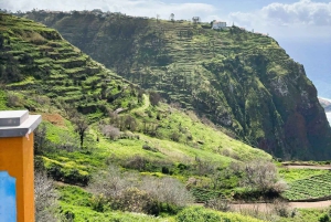 Madeira: Sør-Madeira: Privat 4x4-tur med henting