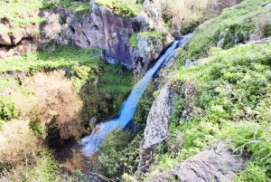 Madeira: Sør-Madeira: Privat 4x4-tur med henting