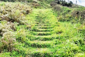 Madeira: Sør-Madeira: Privat 4x4-tur med henting