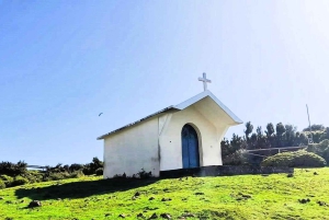 Madeira: Sør-Madeira: Privat 4x4-tur med henting