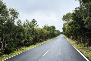 Madeira: Sør-Madeira: Privat 4x4-tur med henting