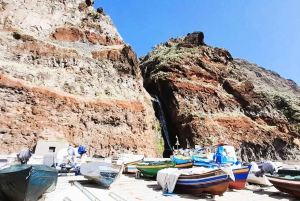 Madeira: Sør-Madeira: Privat 4x4-tur med henting