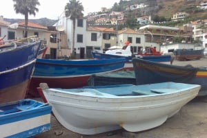 Madeira South West: Half Day Private Tour