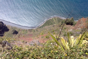 Madeira sud-ovest: tour privato di mezza giornata