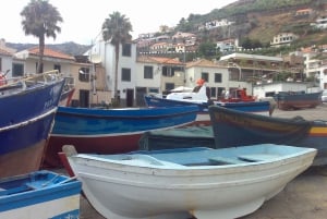 Madeira sud-ovest: tour privato di mezza giornata