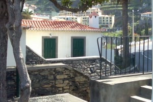 Madeira sud-ovest: tour privato di mezza giornata