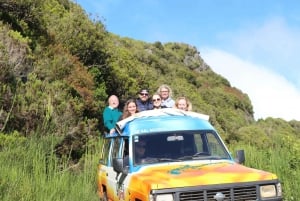 Madeira : Southwest coast, Run & Anjo´s Waterfall 4x4 Tour