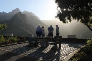 Madeira : Southwest coast, Run & Anjo´s Waterfall 4x4 Tour