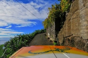 Madeira : Southwest coast, Run & Anjo´s Waterfall 4x4 Tour