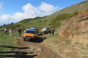 Madeira : Southwest coast, Run & Anjo´s Waterfall 4x4 Tour