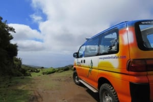 Madeira : Southwest coast, Run & Anjo´s Waterfall 4x4 Tour