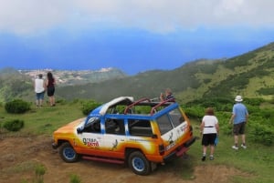 Madeira : Southwest coast, Run & Anjo´s Waterfall 4x4 Tour