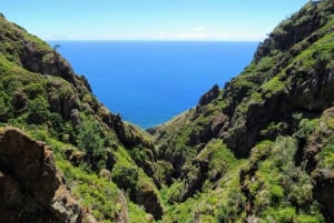 Madeira : Southwest coast, Run & Anjo´s Waterfall 4x4 Tour