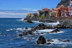 Madeira : Southwest coast, Run & Anjo´s Waterfall 4x4 Tour