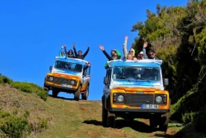 Madeira : Southwest coast, Run & Anjo´s Waterfall 4x4 Tour