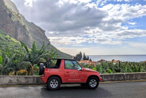Madère Sud-Ouest Express : visite privée d'une demi-journée en jeep