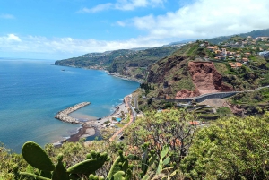 Madère Sud-Ouest Express : visite privée d'une demi-journée en jeep