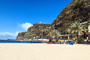 Madère Sud-Ouest Express : visite privée d'une demi-journée en jeep