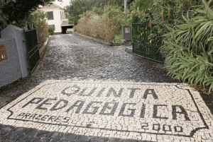 Madeira: Sørvest-øya-tur