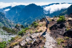 Madeira Stairway to Heaven to Larano Hike Mountain to Sea