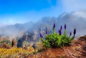 Madeira Stairway to Heaven to Larano Hike Mountain to Sea