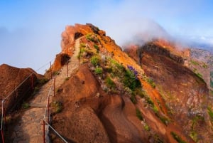 Madeira Stairway to Heaven to Larano Hike Mountain to Sea