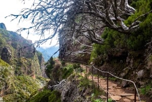 Madeira Stairway to Heaven to Larano Hike Mountain to Sea