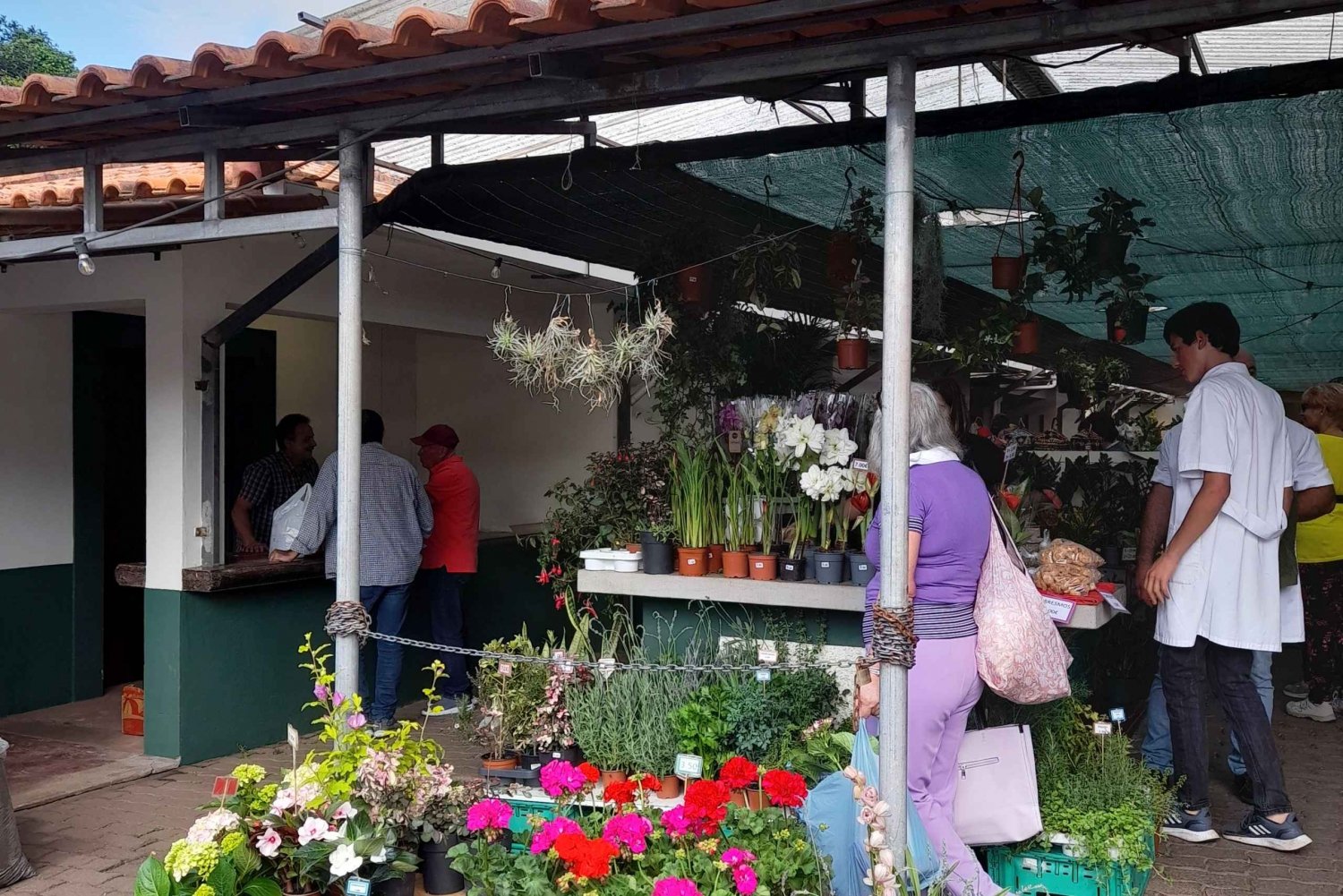 Madeira: Sunday Market in Santo da Serra