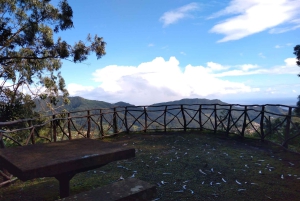 Мадейра: воскресный рынок в Санто-да-Серра