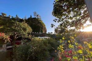 Madeira: Sunny South Side - Cabo Girão, Waterfalls, C. Lobos