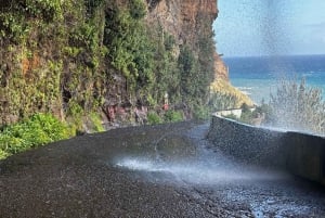 Madeira: Sunny South Side - Cabo Girão, Waterfalls, C. Lobos