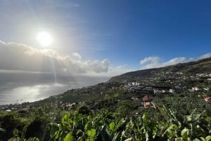 Madeira: Sunny South Side - Cabo Girão, Waterfalls, C. Lobos