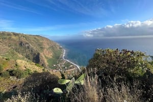 Madeira: Sunny South Side - Cabo Girão, Waterfalls, C. Lobos