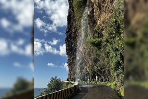 Madeira: Sunny South Side - Cabo Girão, Waterfalls, C. Lobos