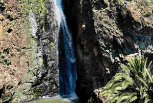 Madeira: Sunny South Side - Cabo Girão, Waterfalls, C. Lobos