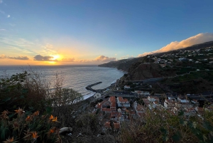 Madeira: Sunny South Side - Cabo Girão, Waterfalls, C. Lobos