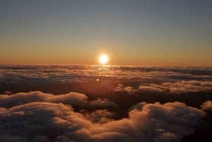 Madeira: Sunrise Half-Day Jeep Tour