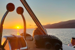 Madeira: Middagskryssning i solnedgången