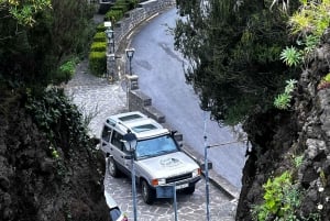 Madeira surprise tour 4x4