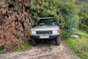 Madeira surprise tour 4x4