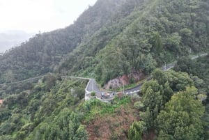 Madeira surprise tour 4x4