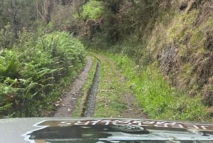 Madeira surprise tour 4x4