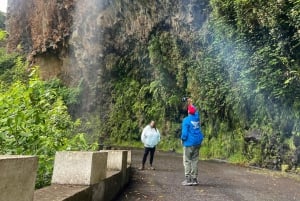 Madeira surprise tour 4x4