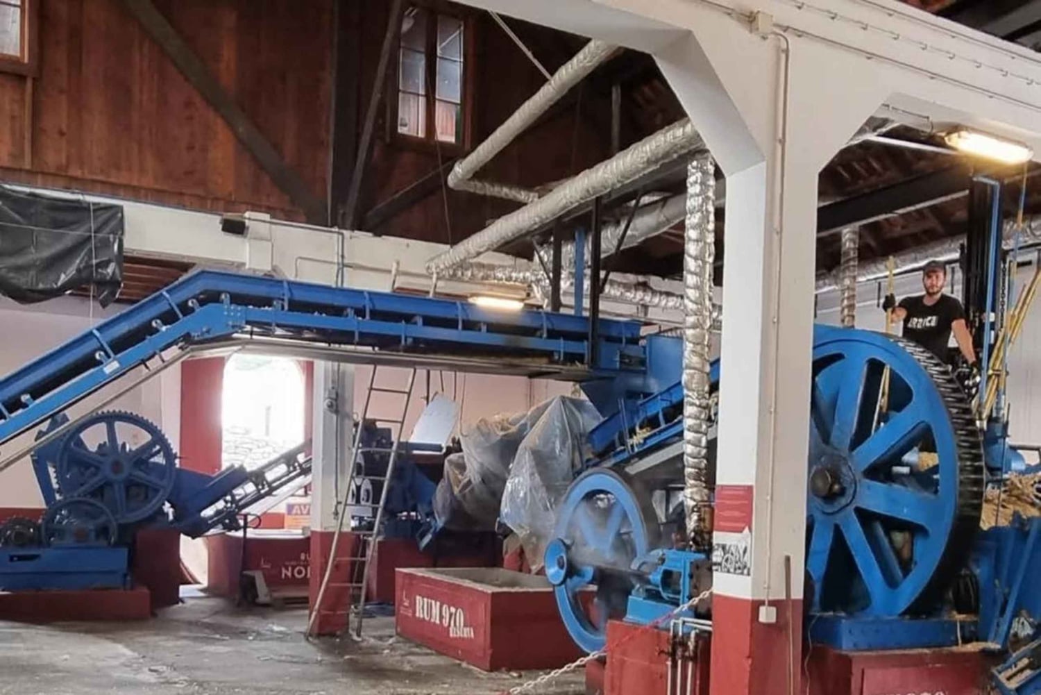 Madeira: Surrealistisk oplevelse i øst